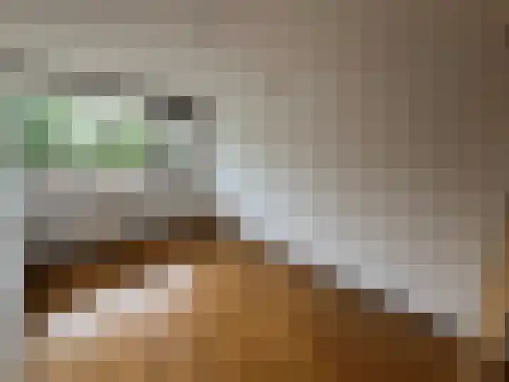 Kloosplantsoen 645 Ridderkerk thumbnail 8