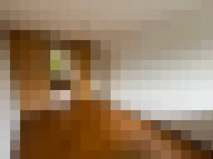 Kloosplantsoen 645 Ridderkerk thumbnail 9