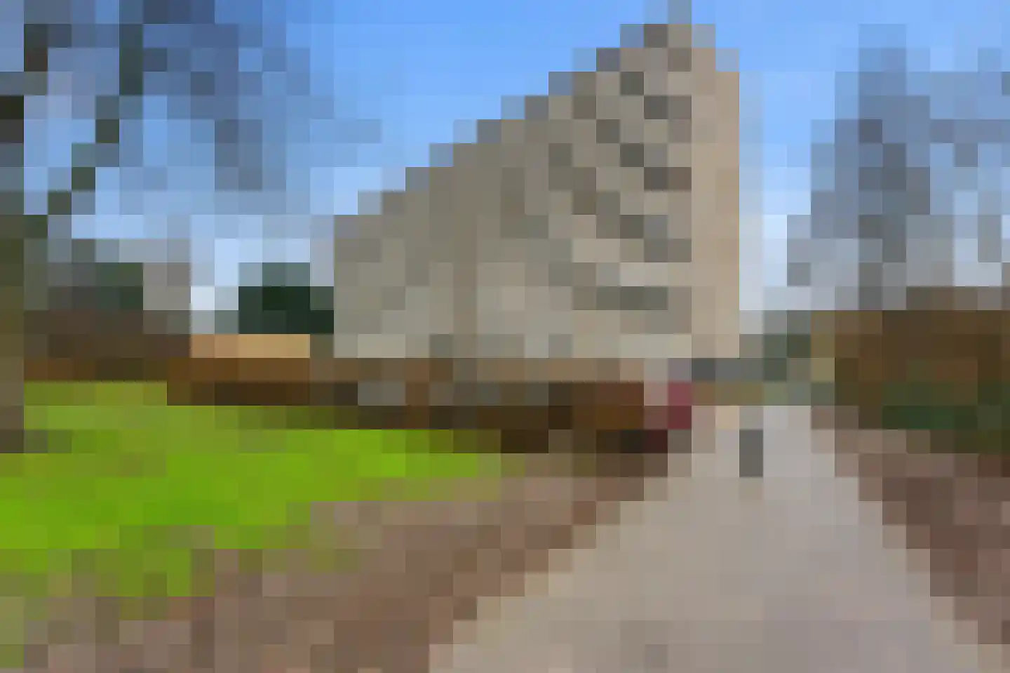 Kloosplantsoen 651 Ridderkerk thumbnail 28