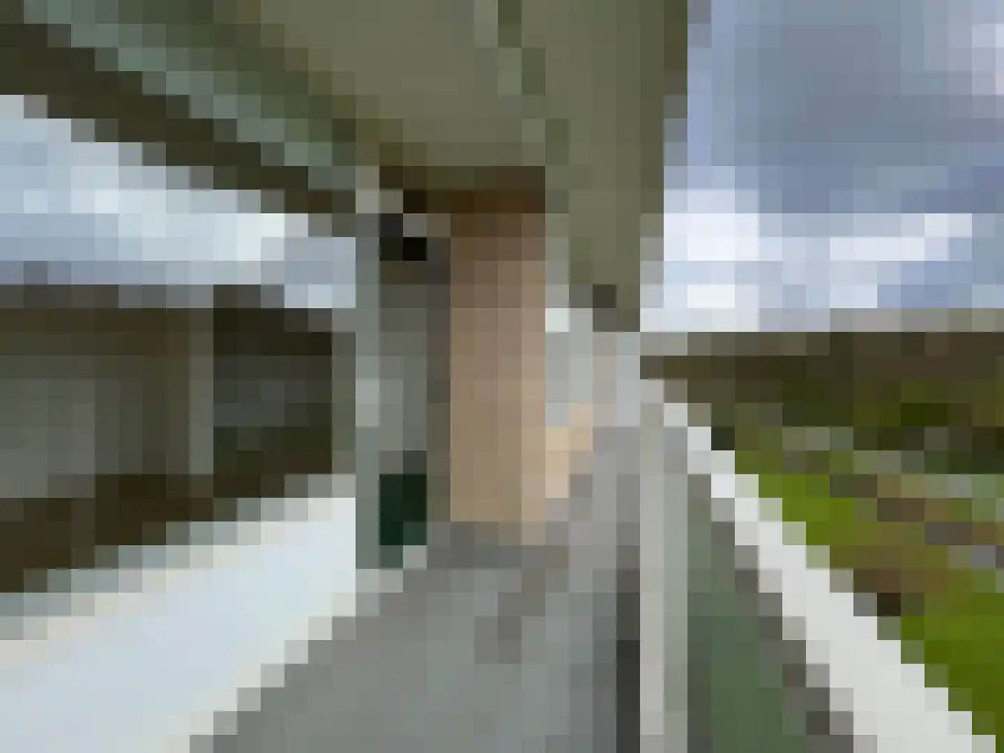 Kloosplantsoen 677 Ridderkerk thumbnail 6