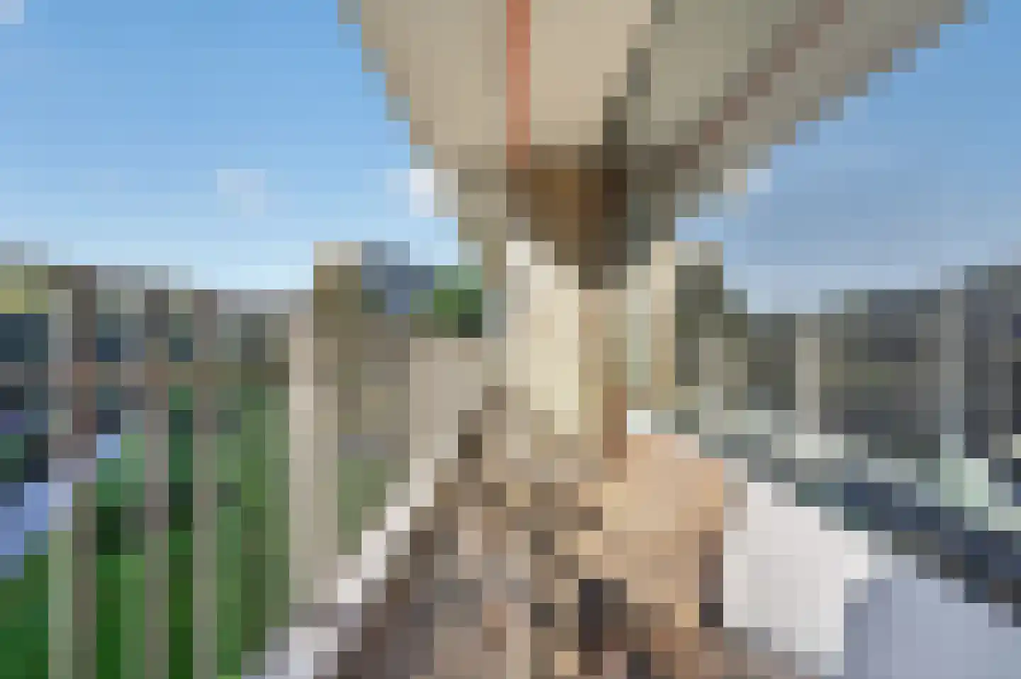 Kloosplantsoen 99 Ridderkerk thumbnail 12