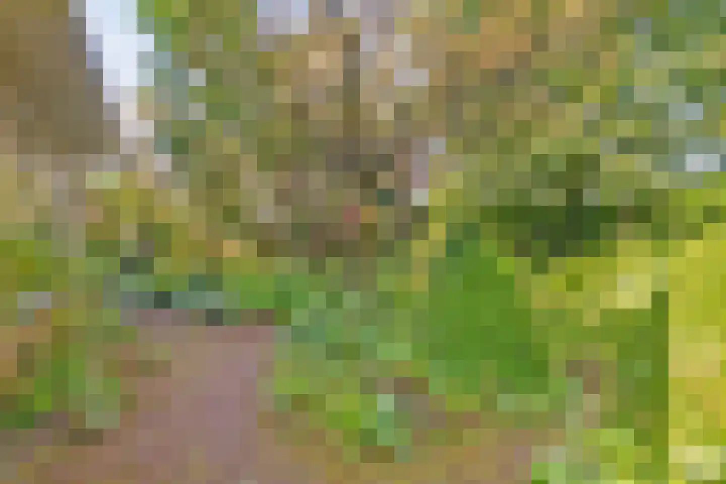 Kloosring 26 Oud-Beijerland thumbnail 31
