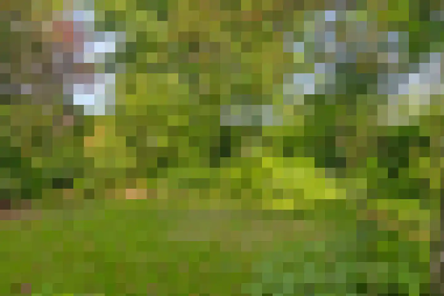 Kloosring 26 Oud-Beijerland thumbnail 33