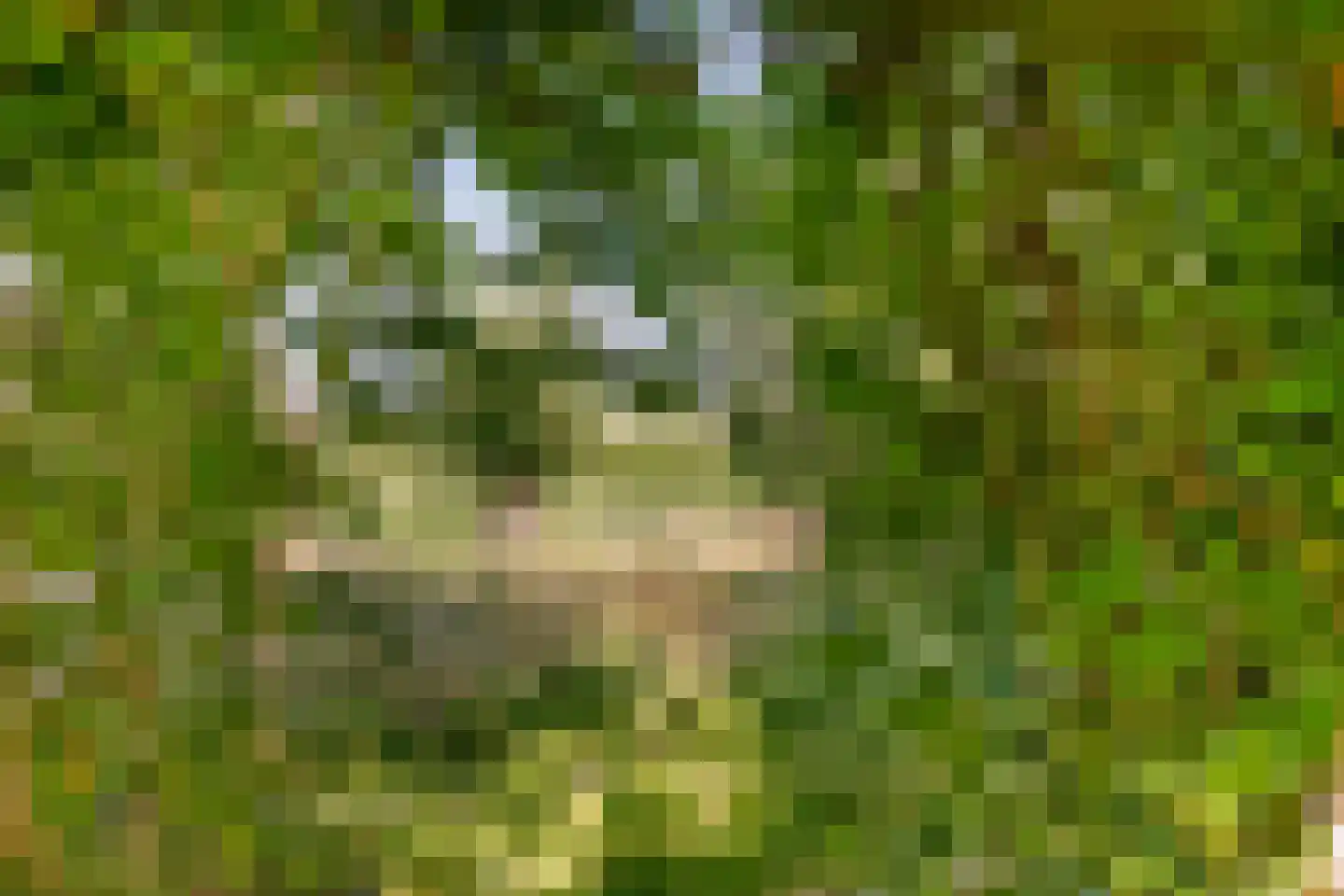 Kloosring 26 Oud-Beijerland thumbnail 34