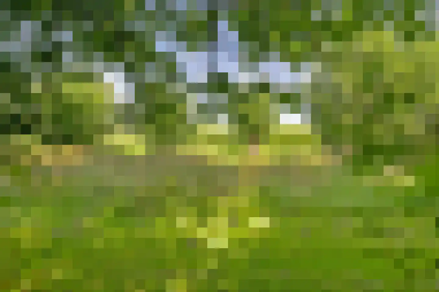 Kloosring 26 Oud-Beijerland thumbnail 35