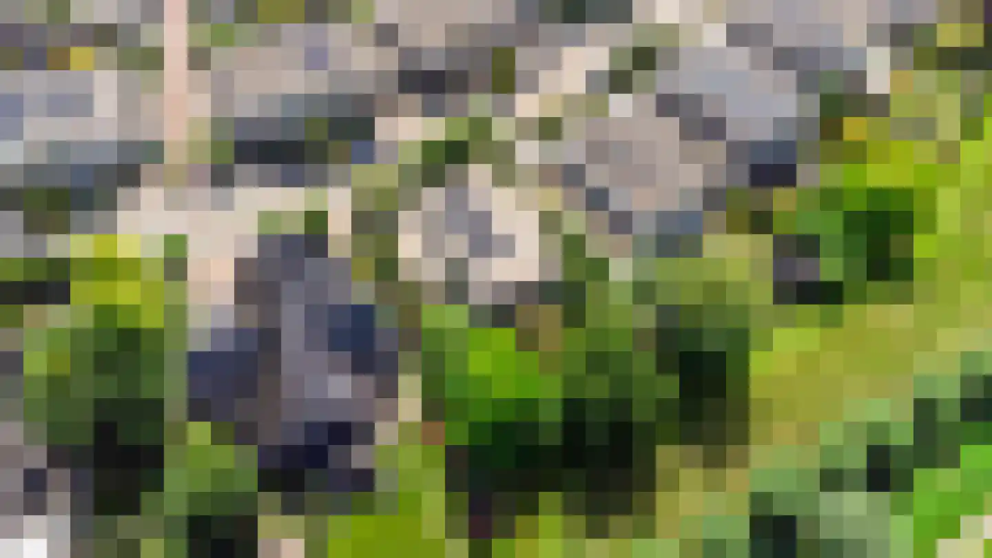 Kloosring 26 Oud-Beijerland thumbnail 38