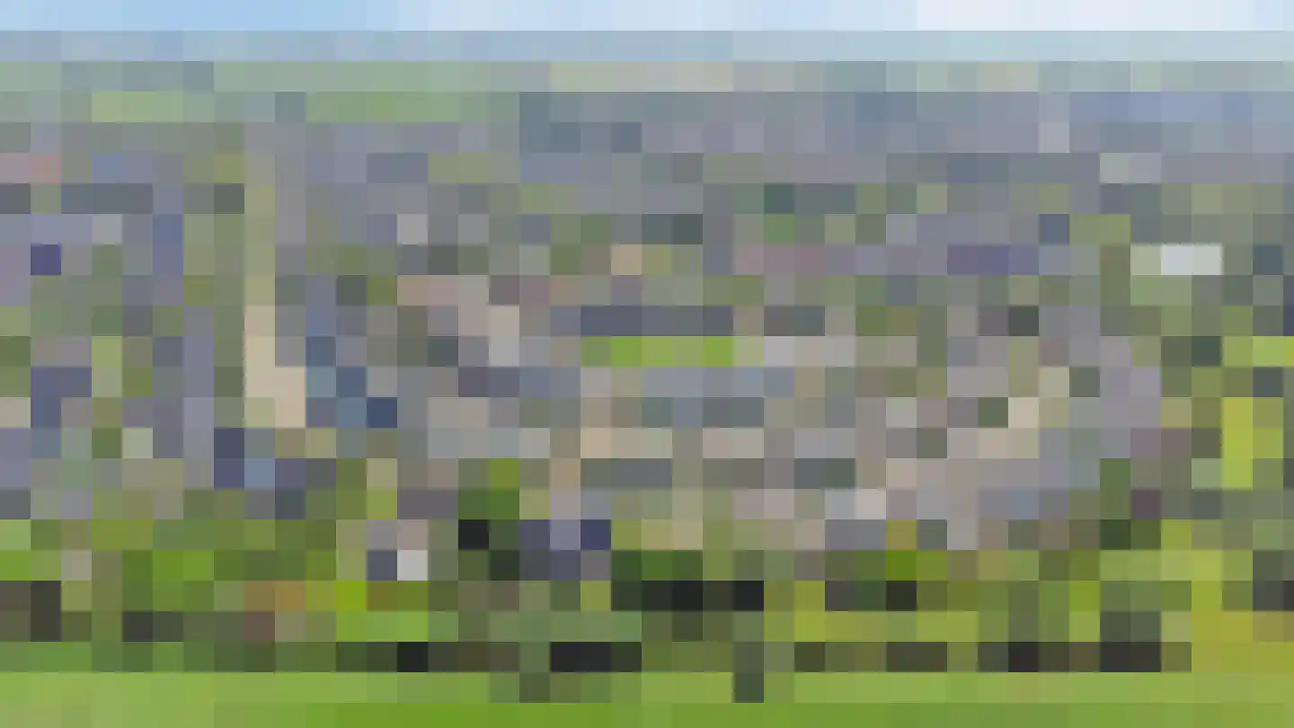 Kloosring 26 Oud-Beijerland thumbnail 43