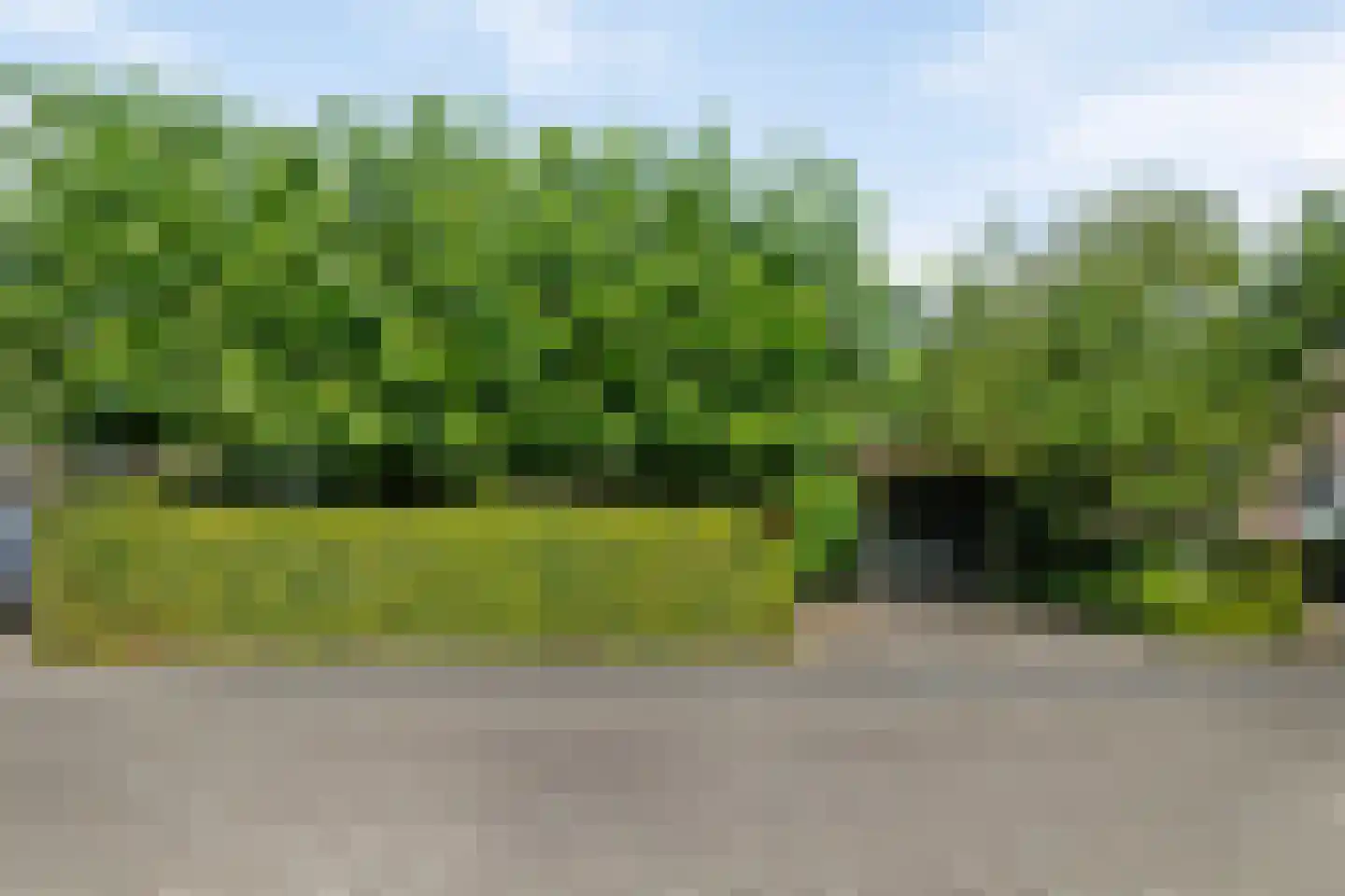 Kloosring 26 Oud-Beijerland thumbnail 6