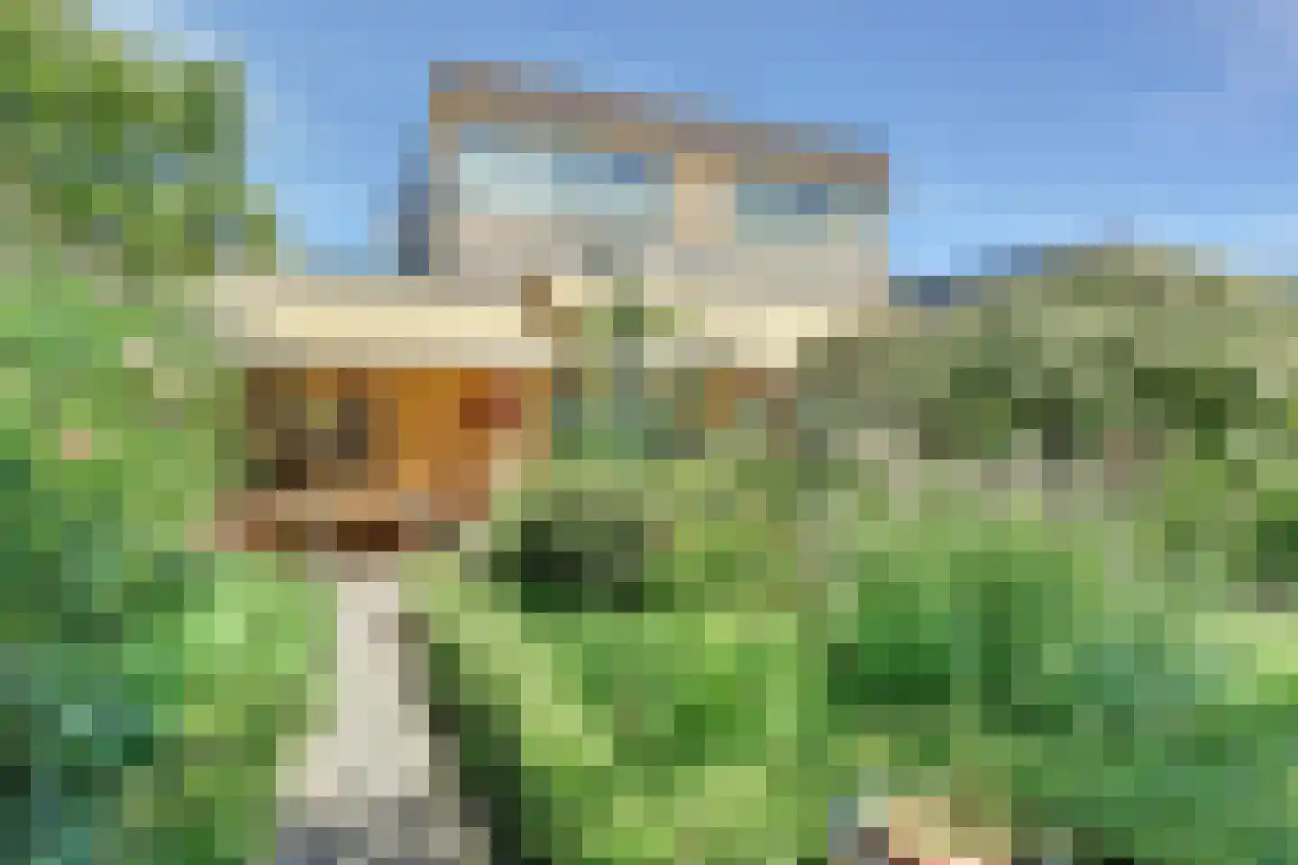 Kloosring 42 Oud-Beijerland thumbnail 5