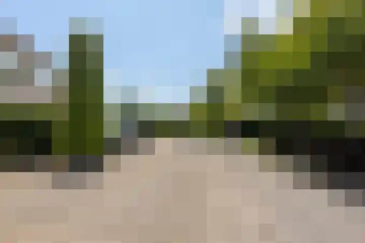 Kloosring 57 Oud-Beijerland thumbnail 31