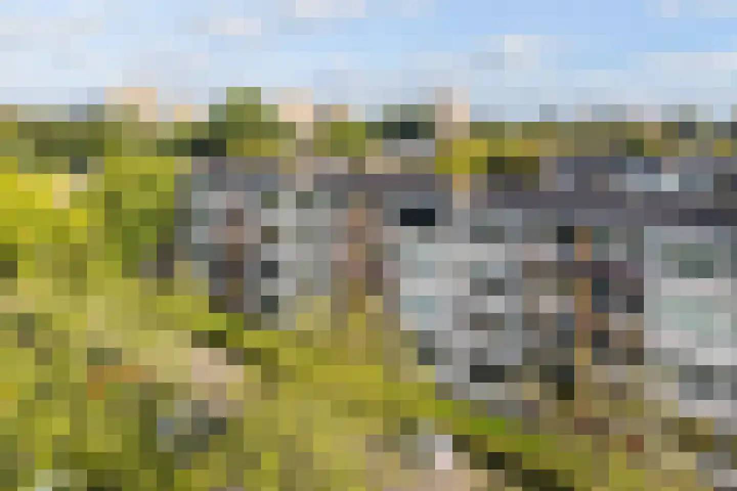 Kloosstraat 10 Zoetermeer thumbnail 36