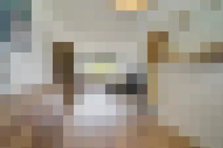 Kloosstraat 30 Zoetermeer thumbnail 11