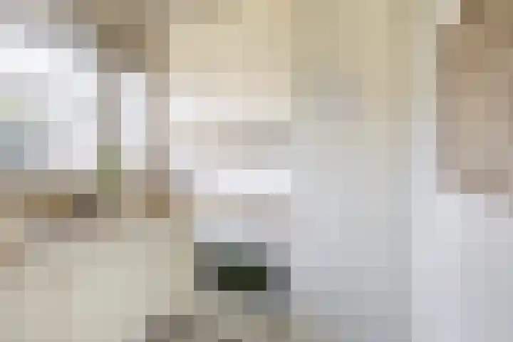 Kloosstraat 5 Zoetermeer thumbnail 18