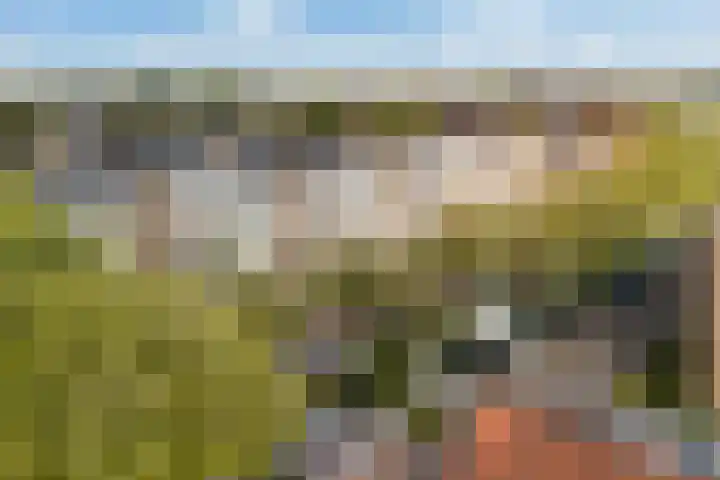 Kloosstraat 66 Zoetermeer thumbnail 36