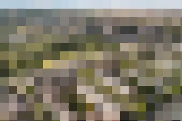 Kloosstraat 66 Zoetermeer thumbnail 37