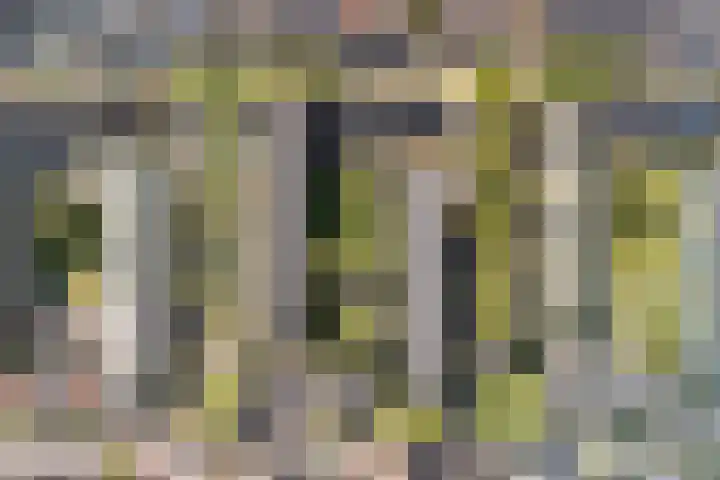 Kloosstraat 66 Zoetermeer thumbnail 38