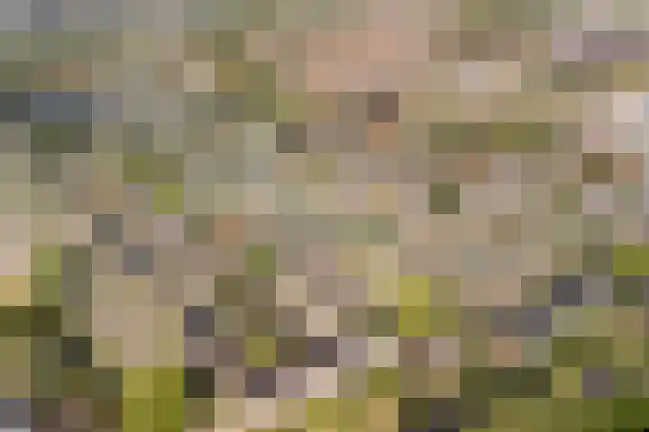 Kloosstraat 66 Zoetermeer thumbnail 39