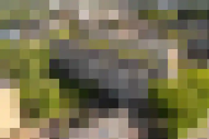 Kloosstraat 66 Zoetermeer thumbnail 40