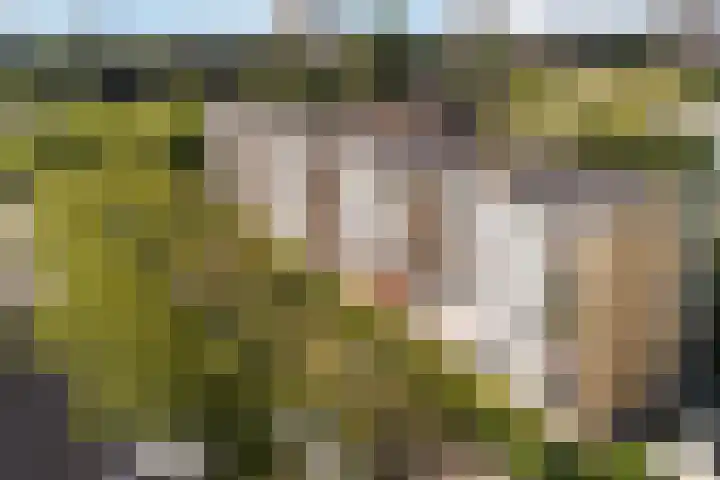 Kloosstraat 66 Zoetermeer thumbnail 46