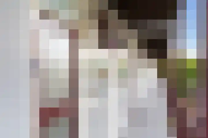 Kloosstraat 66 Zoetermeer thumbnail 8