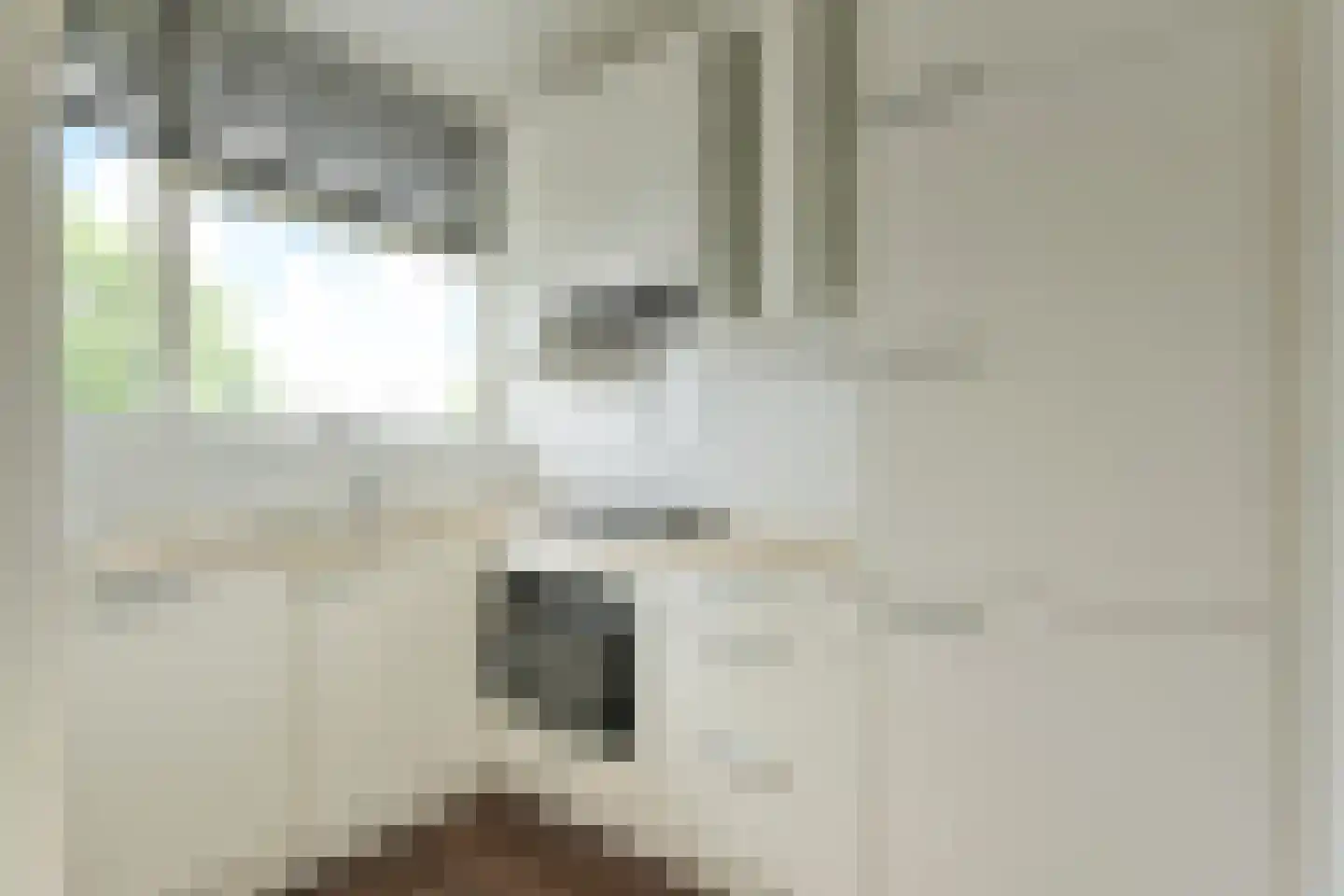 Kloosstraat 68 Zoetermeer thumbnail 8