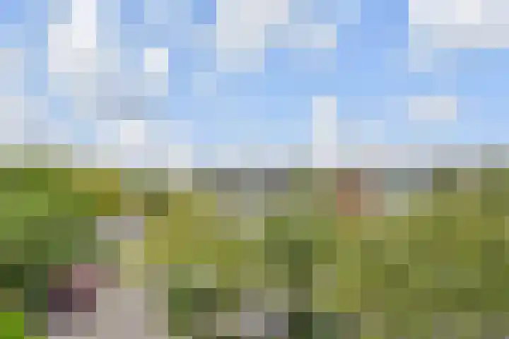 Kloosstraat 70 Zoetermeer thumbnail 23