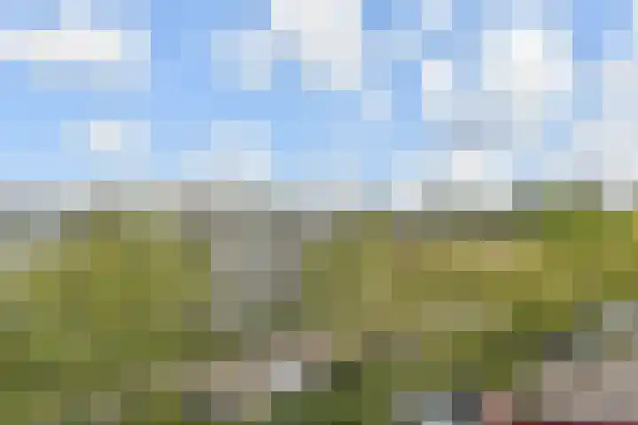 Kloosstraat 70 Zoetermeer thumbnail 24
