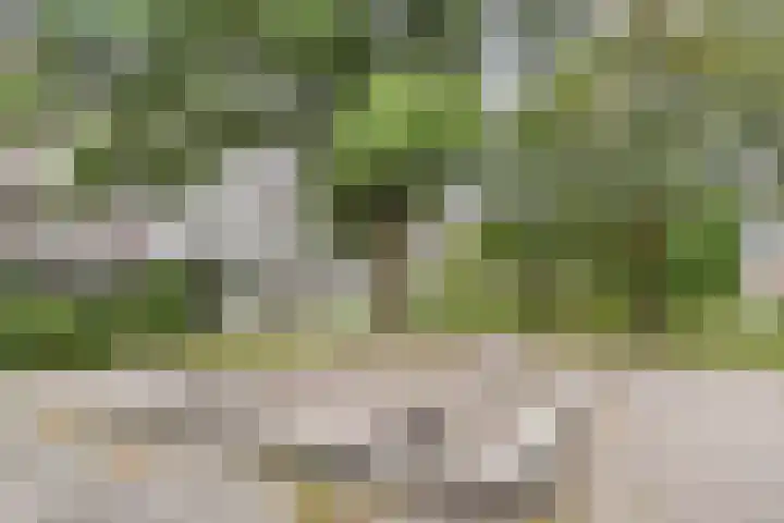 Kloosstraat 70 Zoetermeer thumbnail 32