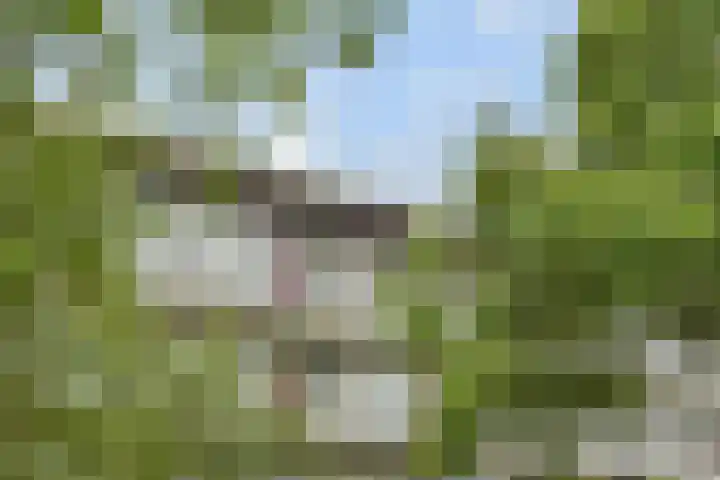 Kloosstraat 70 Zoetermeer thumbnail 7