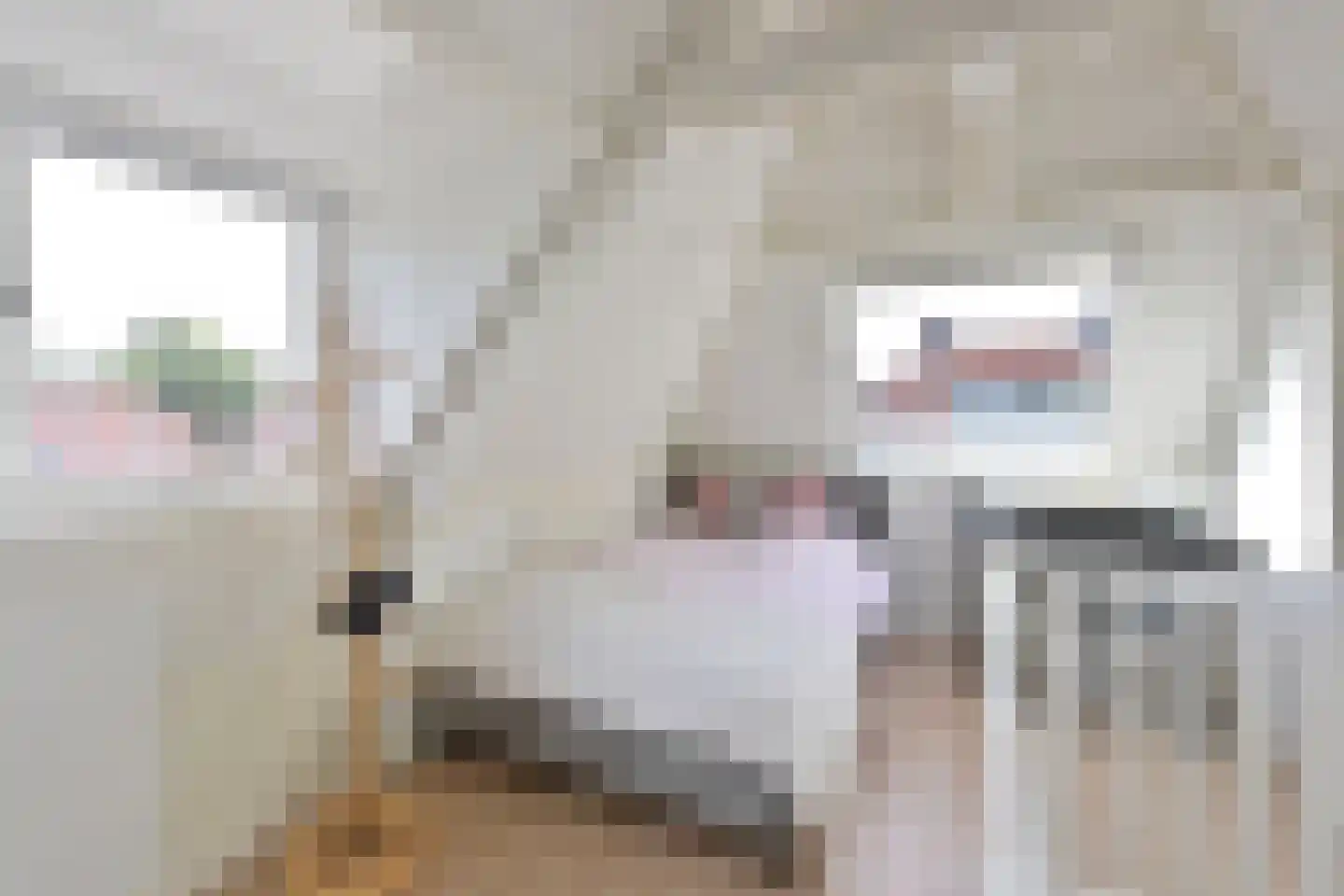 Klooster 1 Laren thumbnail 17