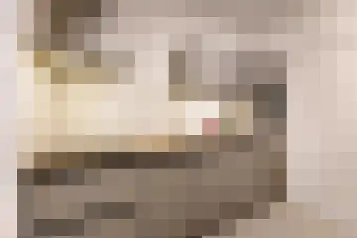 Klooster 1 Leiden thumbnail 12