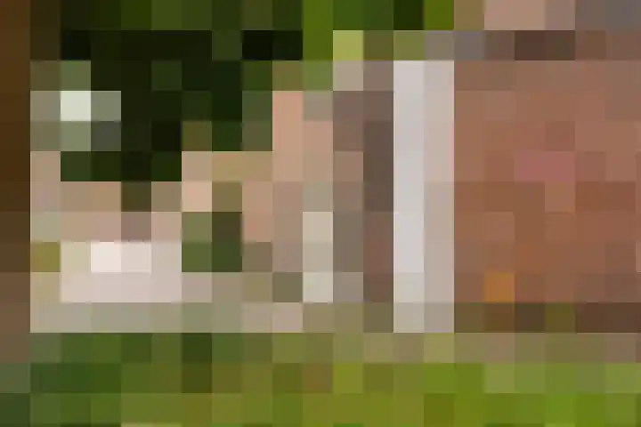 Klooster 1 Leiden thumbnail 18