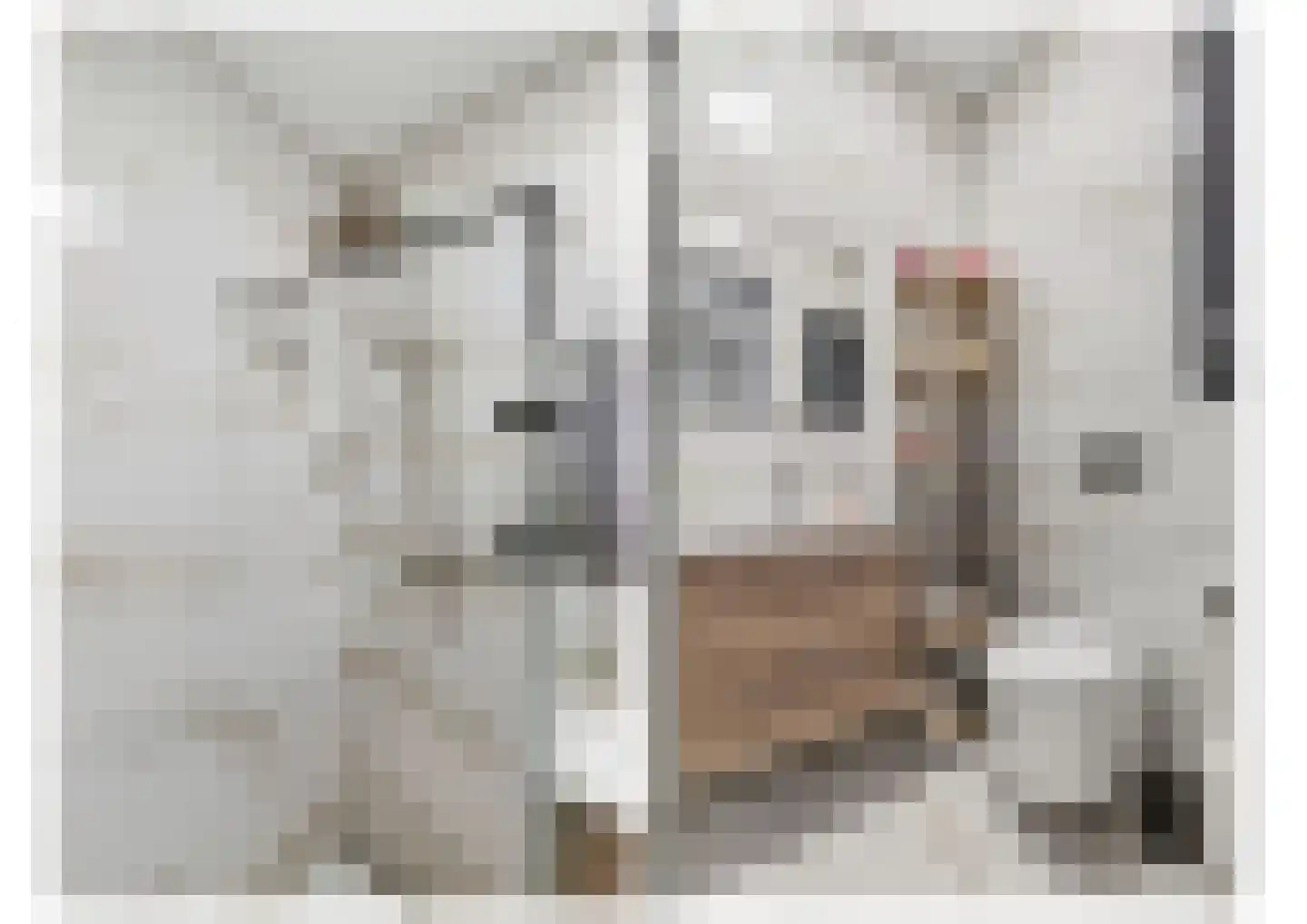 Klooster 1 Leiden thumbnail 18