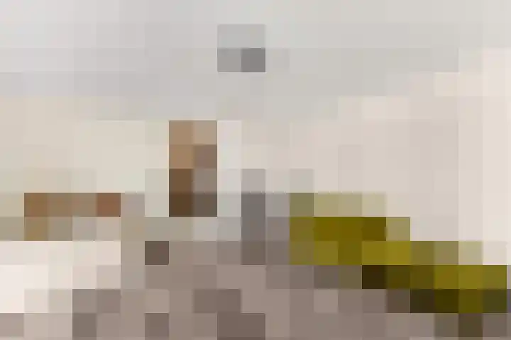 Klooster 1 Leiden thumbnail 4