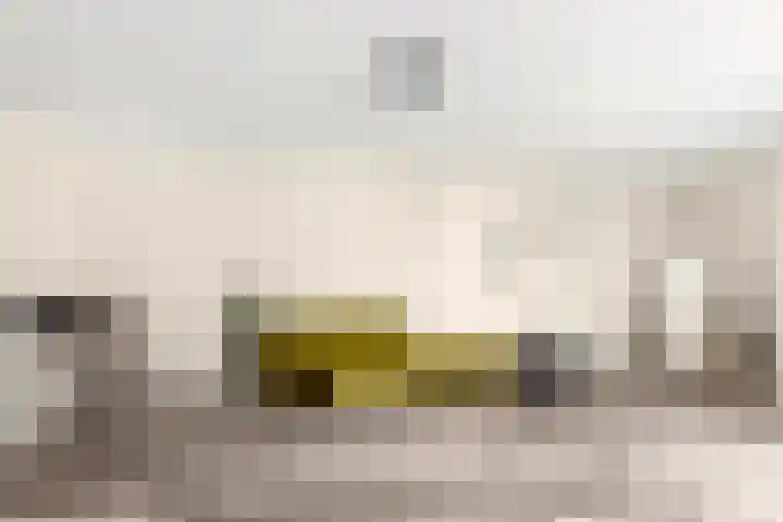 Klooster 1 Leiden thumbnail 5