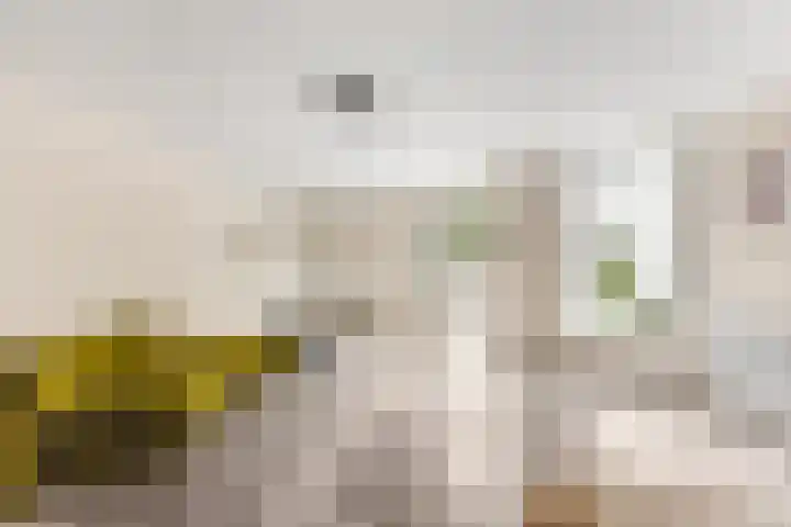 Klooster 1 Leiden thumbnail 6