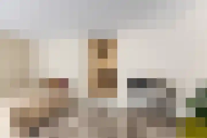 Klooster 1 Leiden thumbnail 8
