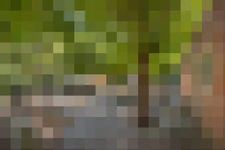 Klooster 11 Leiden thumbnail 22