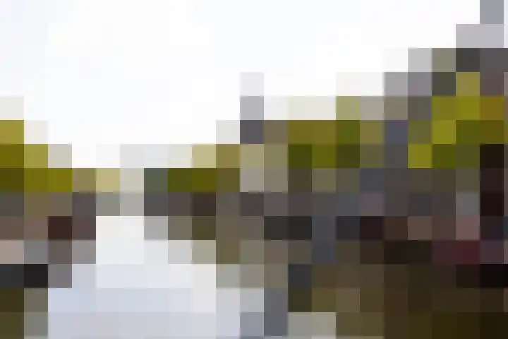 Klooster 11 Leiden thumbnail 27