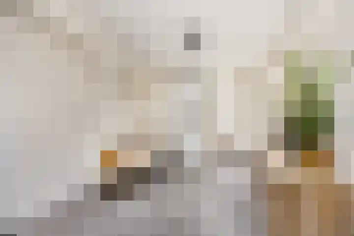 Klooster 11 Leiden thumbnail 4