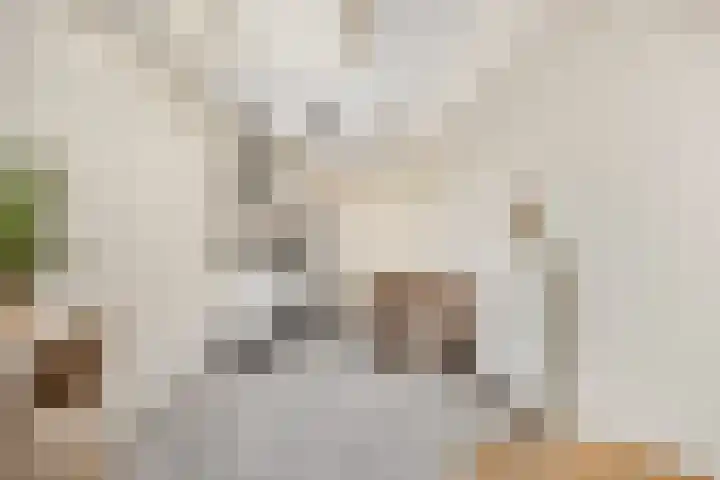 Klooster 11 Leiden thumbnail 6