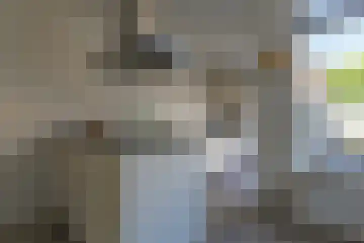 Klooster 13 Enkhuizen thumbnail 19