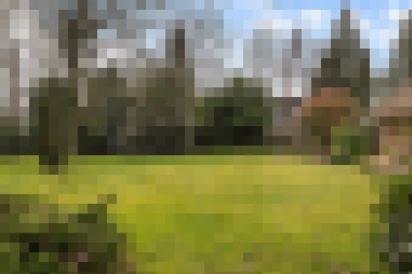 Klooster 18 Coevorden thumbnail 38