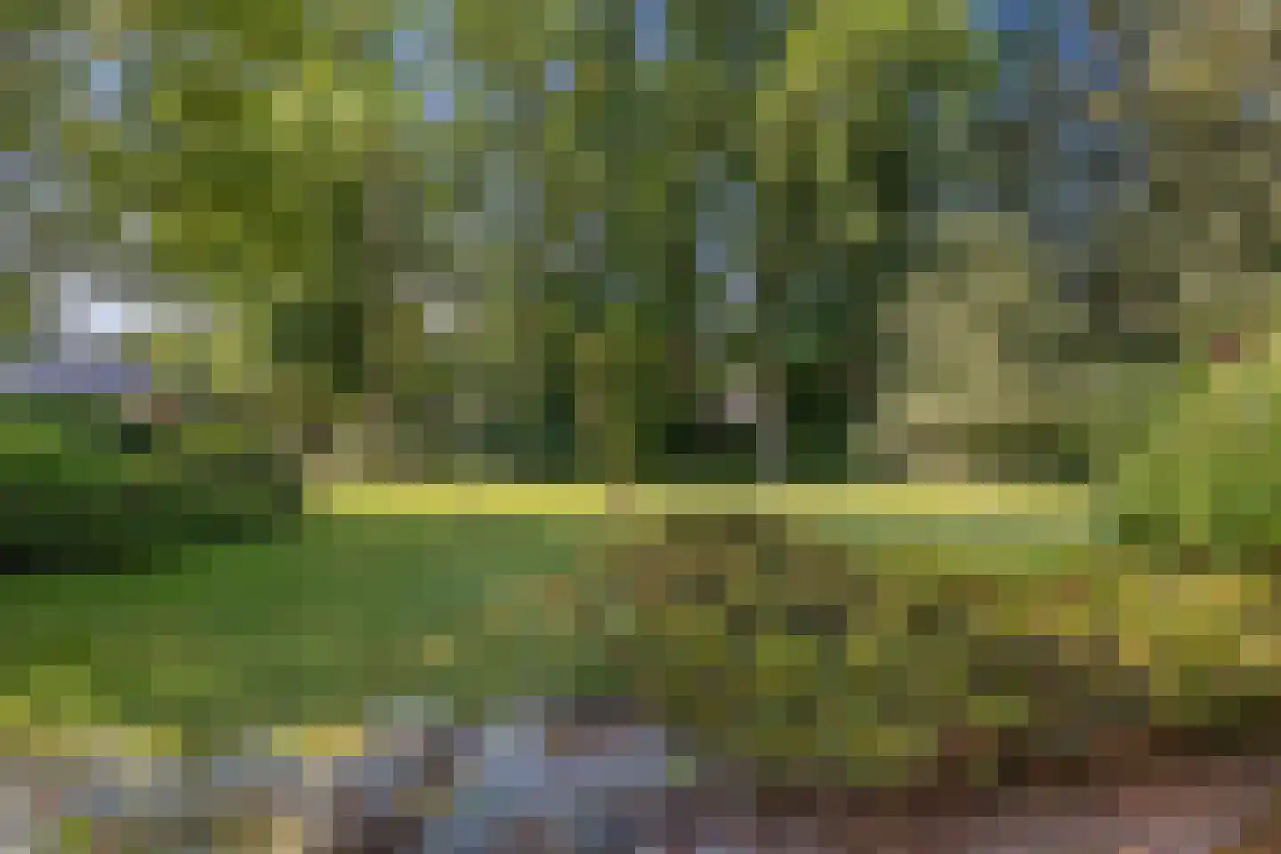 Klooster 18 Coevorden thumbnail 48