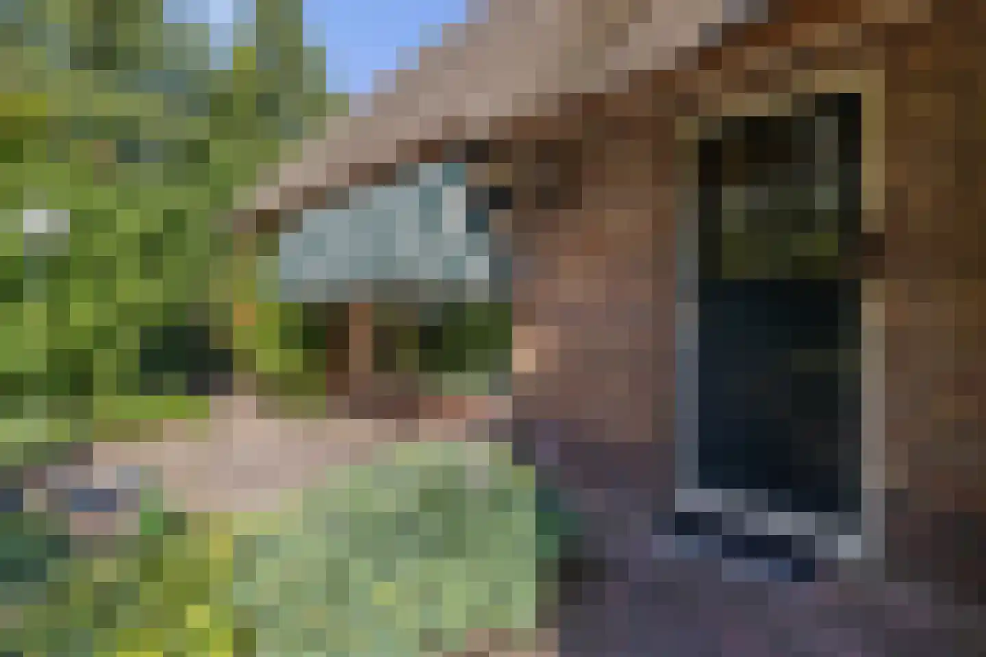 Klooster 18 Coevorden thumbnail 5
