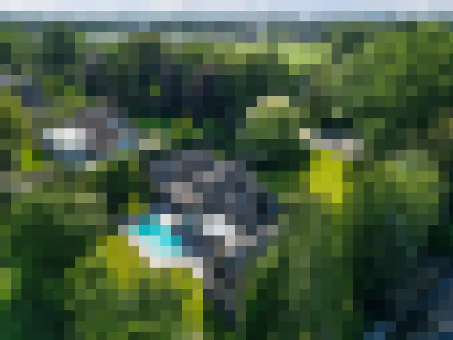 Klooster 18 Coevorden thumbnail 66