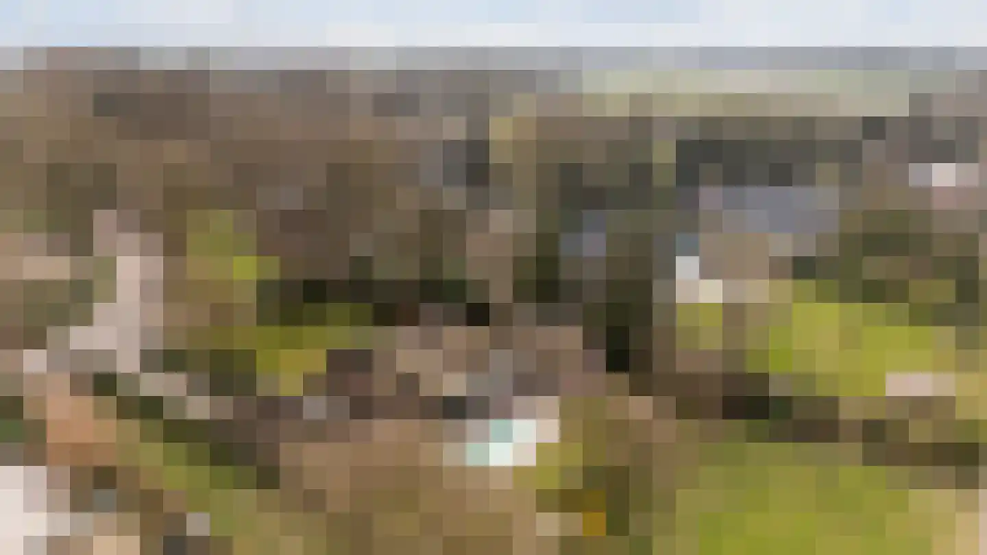 Klooster 18 Coevorden thumbnail 69