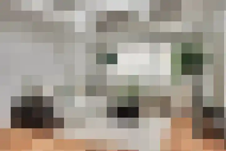 Klooster 2 a Enkhuizen thumbnail 17