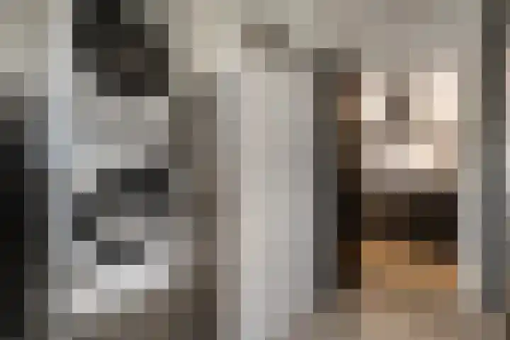 Klooster 2 Coevorden thumbnail 21