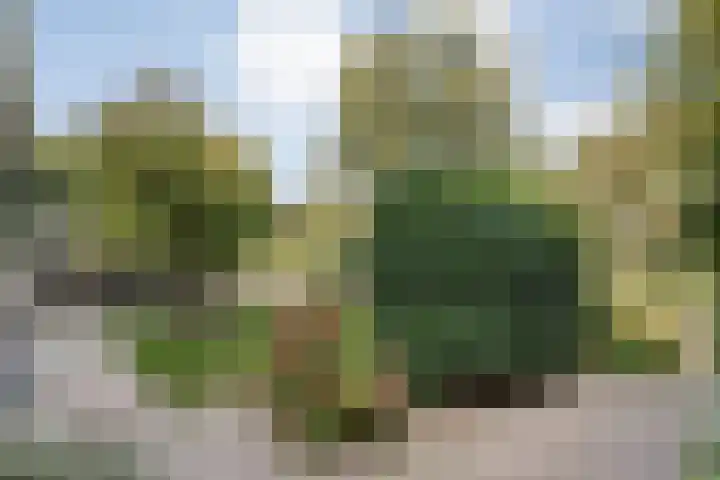 Klooster 2 Coevorden thumbnail 45